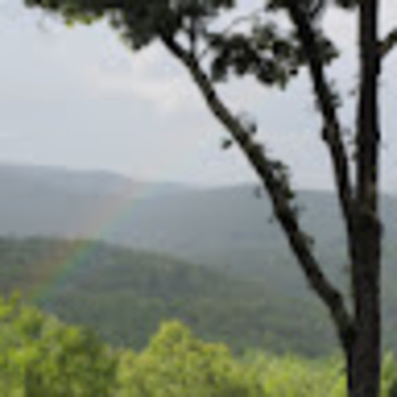 Meet your Posher, Linda - Picture 1 of 1